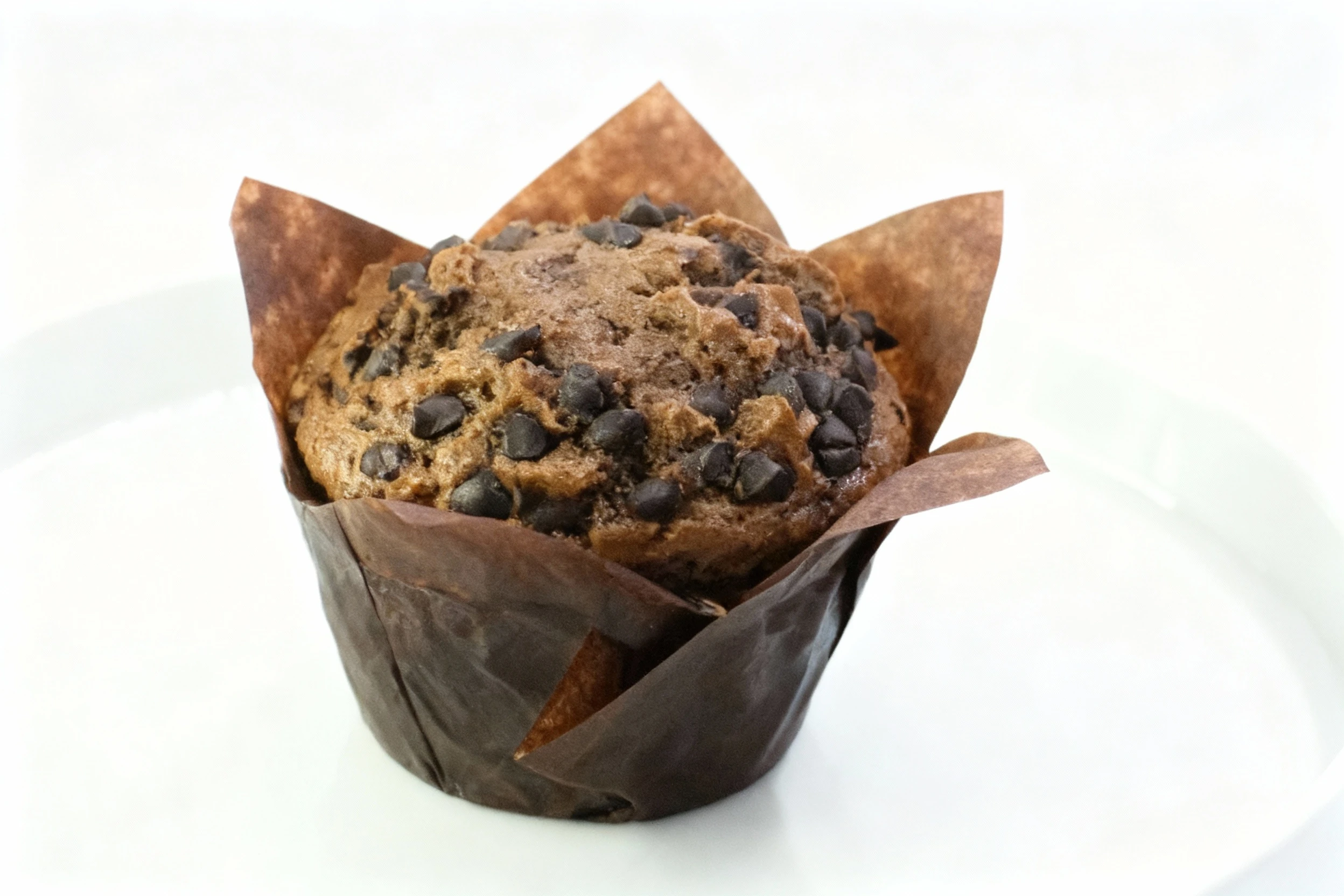 A large double chocolate muffin topped heavily with dark chocolate chips, presented upright in a tall, tulip-style brown paper liner.